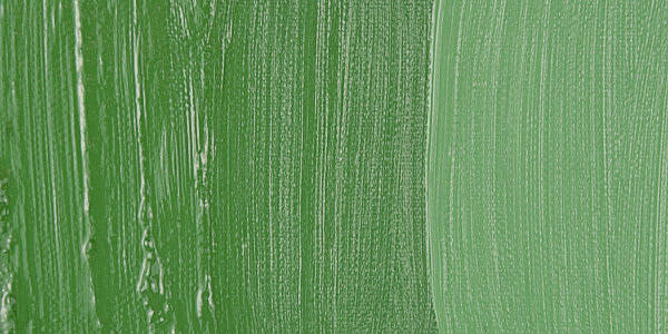 Maimeri Puro Yağlı Boya 40 ML 336 Chrome Oxide Green - 2