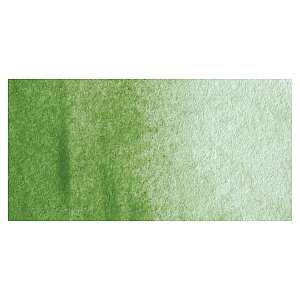 MaimeriBlu Tüp Sulu Boya 12 ML 296 Green Earth - 2