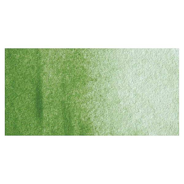 MaimeriBlu Tüp Sulu Boya 12 ML 296 Green Earth - 2