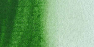 MaimeriBlu Tüp Sulu Boya 12 ML 325 Hookers Green - 2