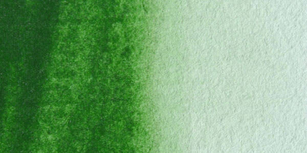 MaimeriBlu Tüp Sulu Boya 12 ML 325 Hookers Green - 2