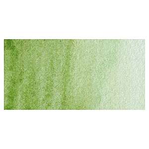 MaimeriBlu Tüp Sulu Boya 12 ML 358 Sap Green - 2