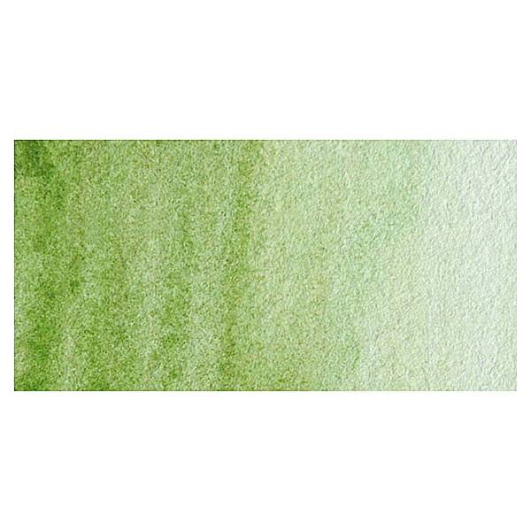 MaimeriBlu Tüp Sulu Boya 12 ML 358 Sap Green - 2