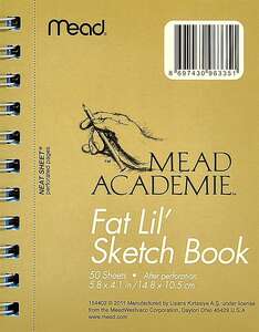 Mead Academie Resim Defteri A6 50 Yaprak - Thumbnail