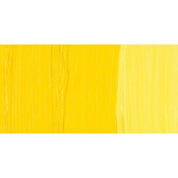 Old Holland El Yapımı Yağlı Boya 40 Ml Seri 3 Scheveningen Yellow Medium