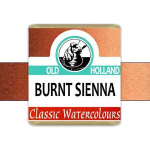Old Holland Tablet Suluboya Seri 1 Burnt Sienna - 2