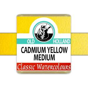 Old Holland Tablet Suluboya Seri 4 Cadmium Yellow Medium - 2