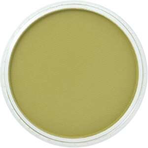 PanPastel Ultra Soft Artist Pastel Boya Bright Yellow Green Shade 26803 - 2