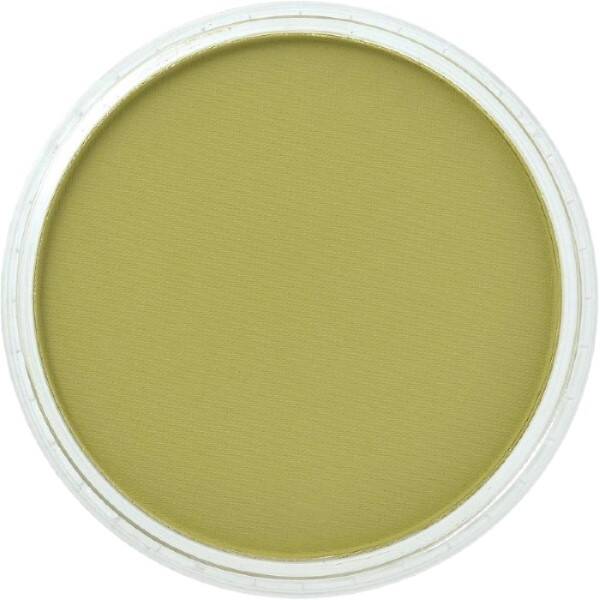 PanPastel Ultra Soft Artist Pastel Boya Bright Yellow Green Shade 26803 - 2