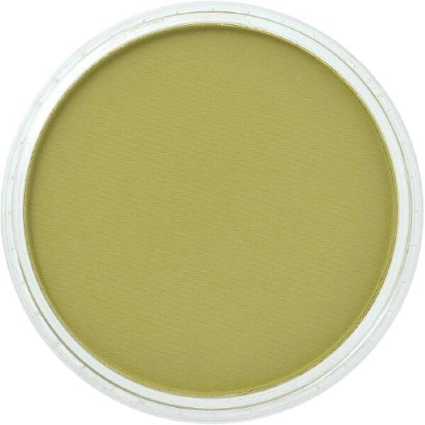 PanPastel Ultra Soft Artist Pastel Boya Birght Yellow Green Shade 26803