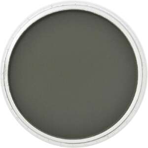 PanPastel Ultra Soft Artist Pastel Boya Chromium Oxide Green Extra Dark 26601 - 2