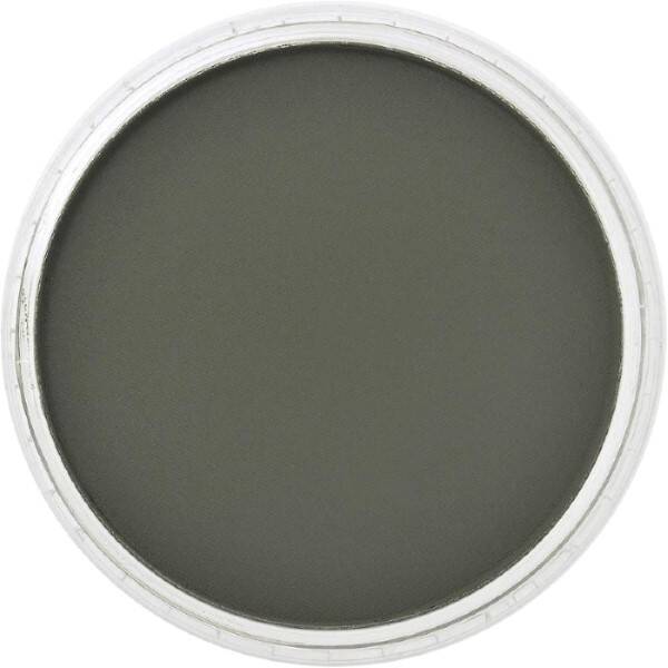 PanPastel Ultra Soft Artist Pastel Boya Chromium Oxide Green Extra Dark 26601 - 2