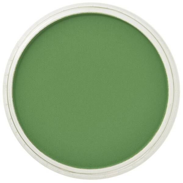 PanPastel Ultra Soft Artist Pastel Boya Chromium Oxide Green 26605 - 2