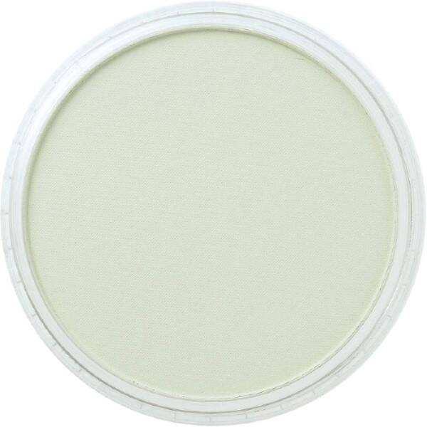 PanPastel Ultra Soft Artist Pastel Boya Chromium Oxide Green Tint 26608 - 2