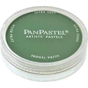 PanPastel Ultra Soft Artist Pastel Boya Permanent Green Shade 26403 - PanPastel