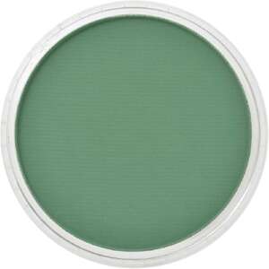 PanPastel Ultra Soft Artist Pastel Boya Permanent Green Shade 26403 - 2