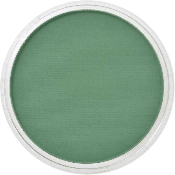 PanPastel Ultra Soft Artist Pastel Boya Permanent Green Shade 26403 - 2