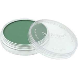 PanPastel Ultra Soft Artist Pastel Boya Permanent Green Shade 26403 - 3