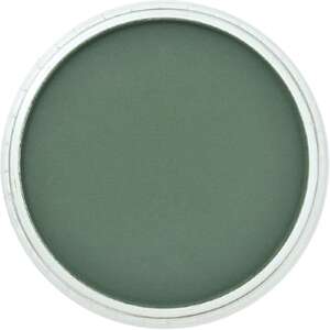 PanPastel Ultra Soft Artist Pastel Boya Permanent Green Extra Dark 26401 - 2