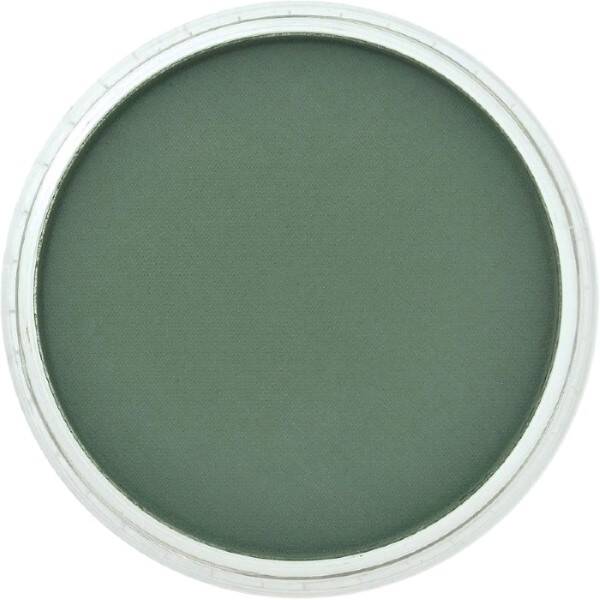 PanPastel Ultra Soft Artist Pastel Boya Permanent Green Extra Dark 26401 - 2