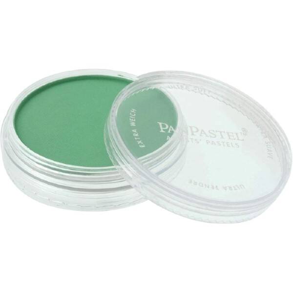 PanPastel Ultra Soft Artist Pastel Boya Permanent Green 26405 - 3