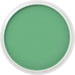 PanPastel Ultra Soft Artist Pastel Boya Permanent Green 26405 - 2