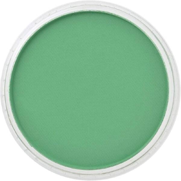 PanPastel Ultra Soft Artist Pastel Boya Permanent Green 26405 - 2