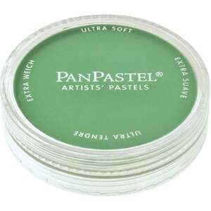 PanPastel Ultra Soft Artist Pastel Boya Permanent Green 26405 - 1