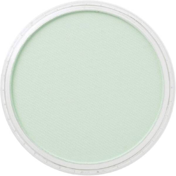 PanPastel Ultra Soft Artist Pastel Boya Permanent Green Tint 26408