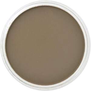 PanPastel Ultra Soft Artist Pastel Boya Raw Umber 27805 - 2
