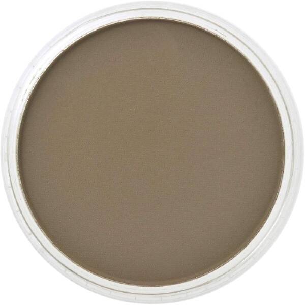 PanPastel Ultra Soft Artist Pastel Boya Raw Umber 27805 - 2