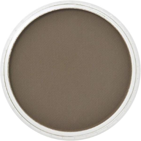 PanPastel Ultra Soft Artist Pastel Boya Raw Umber Shade 27803 - 2