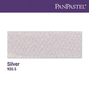 PanPastel Ultra Soft Artist Pastel Boya Silver 29205 - 4