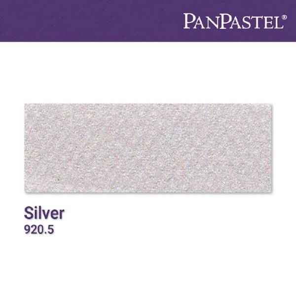 PanPastel Ultra Soft Artist Pastel Boya Silver 29205 - 4