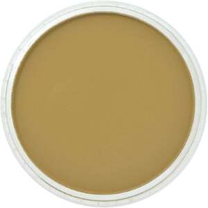 PanPastel Ultra Soft Artist Pastel Boya Yellow Ochre Shade 22703 - 2