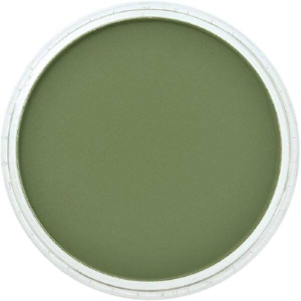 PanPastel Ultra Soft Artist Pastel Boya Chromium Oxide Green Shade 26603 - 2
