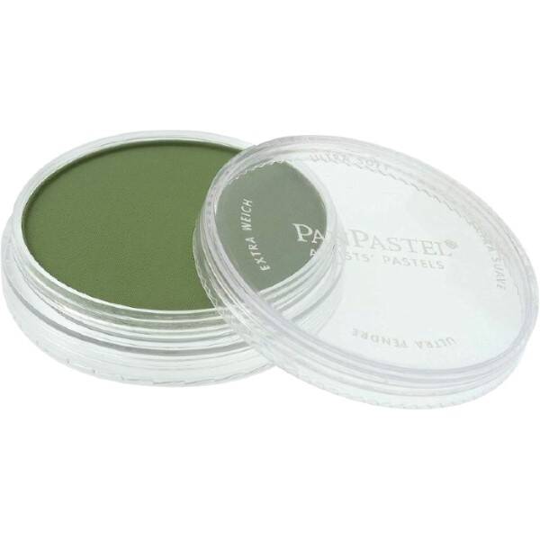 PanPastel Ultra Soft Artist Pastel Boya Chromium Oxide Green Shade 26603 - 3