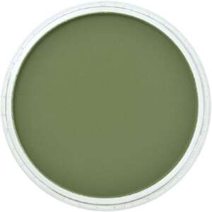 PanPastel Ultra Soft Artist Pastel Boya Chromium Oxide Green Shade 26603 - 2