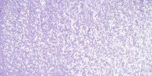 Sennelier Yağlı Pastel Boya Cobalt Violet Light No:217 - Thumbnail