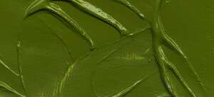 Vallejo Artist Akrilik Boya 60Ml Seri 2 423 Olive Green - 2