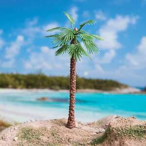 Washıntonıa Palmiye 10Cm (2 Li) - Eshel