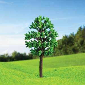 Zelkova Ağacı 13cm - Eshel